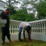 Home 19 cut-and-plant-grass-turfing-installation-greenage-landscaping-singapore