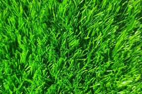 ag001-sample-catalogue-greenage-landscaping-services-singapore