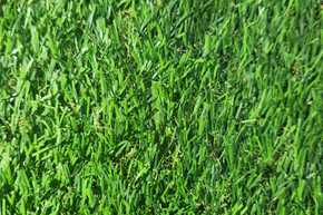 ag002-sample-catalogue-greenage-landscaping-services-singapore