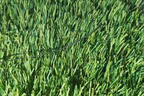 ag003-sample-catalogue-greenage-landscaping-services-singapore