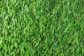 Home 25 artificial-grass-catalogue-ga-carpet-and-artificial-grass-singapore