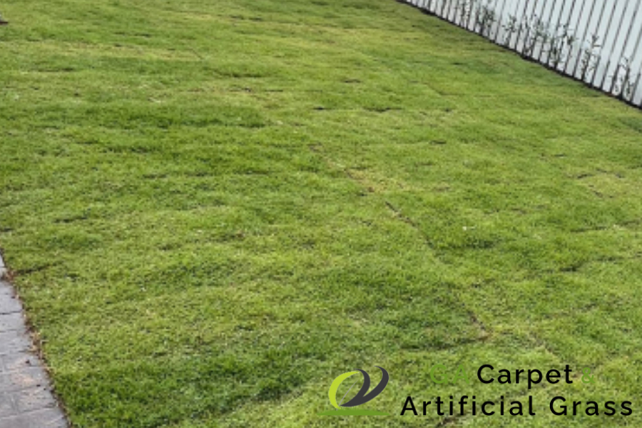 carpet-grass-services-ga-carpet-artificial-grass-singapore