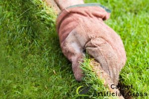 grass turfing featured product image 1