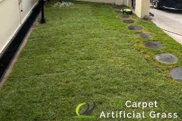 Home 30 grass-turfing-services-ga-carpet-and-artificial-grass-singapore-landed-east-coast-1