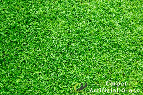 Home 11 imitation-lawn-singapore-ga-carpet-artificial-grass-singapore