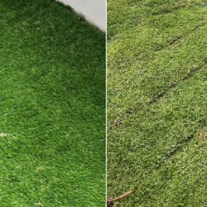 real-carpet-grass-vs-artificial-grass-image