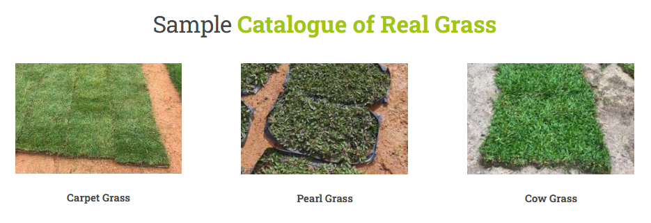 sample-catalogue-carpet-grass