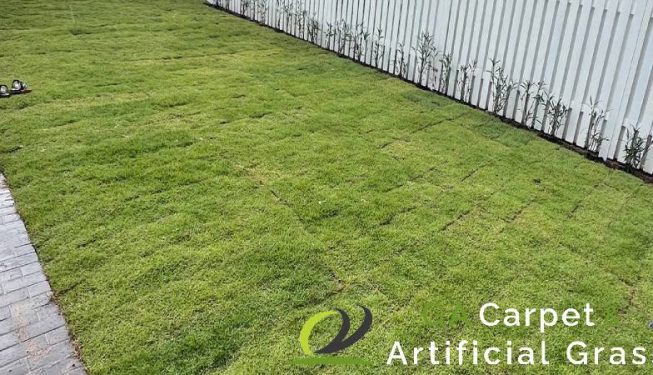 carpet-grass-installation-ga-carpet-and-artificial-grass-singapore-landed-serangoon-8