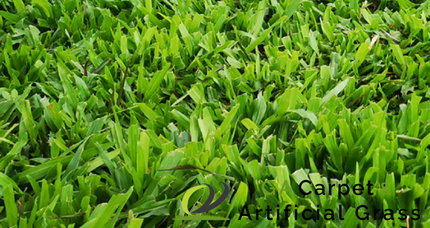 cow-grass-services-image-ga-carpet-artificial-grass-singapore