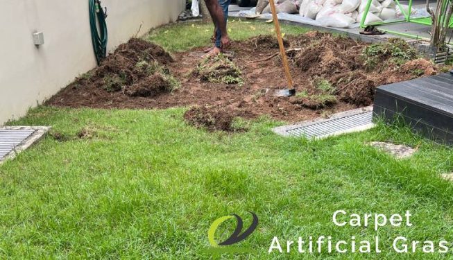 grass-turfing-services-ga-carpet-and-artificial-grass-singapore-landed-bedok-9