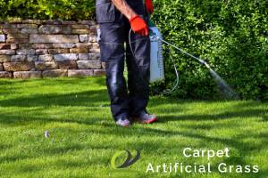 Do’s and Dont’s To Remember For Grass Turf Maintenance in Singapore 5 harsh-chemicals-dos-and-donts-to-remember-for-grass-turf-maintenance-ga-carpet-artificial-grass-singapore