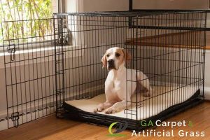 6 Essential Steps to Get Ready for Artificial Turf Installation in Singapore 3 keep-pets-secure-6-essential-steps-to-get-ready-for-artificial-turf-installation-ga-carpet-artificial-grass-singapore