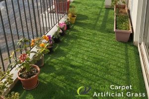 Why Cow Grass is a Budget-Friendly Option for Singapore Homeowners 2 minimal-maintenance-9-key-sdvantages-of-installing-artificial-grass-on-your-singapore-balcony-artificial-grass-ga-carpet-artificial-grass-singapore