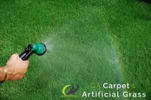 Do’s and Dont’s To Remember For Grass Turf Maintenance in Singapore 4 overwater-dos-and-donts-to-remember-for-grass-turf-maintenance-ga-carpet-artificial-grass-singapore