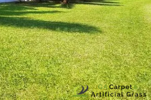 pearl-grass-maintenance-ga-carpet-artificial-singapore-3