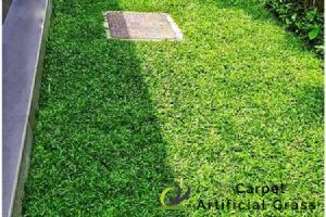 pearl-grass-replacement-services-ga-carpet-artificial-grass-singapore (1)