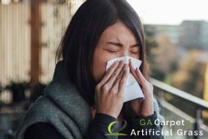 Why Cow Grass is a Budget-Friendly Option for Singapore Homeowners 5 reduces-allergens-9-key-sdvantages-of-installing-artificial-grass-on-your-singapore-balcony-artificial-grass-ga-carpet-artificial-grass-singapore