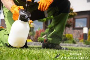 apply-protective-coatings-keep-your-turf-synthetic-grass-vibrant-turf-synthetic-grass-ga-carpet-and-artificial-grass-singapore