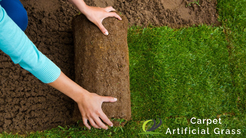 featured-5-diy-grass-planting-mistakes-you-should-avoid-in-singapore-turfing-ga-carpet-artificial-grass-singapore
