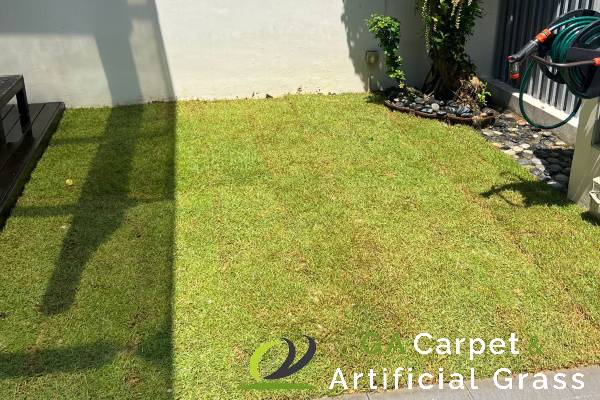 grass-turfing-services-ga-carpet-and-artificial-grass-singapore-landed-east-coast-1