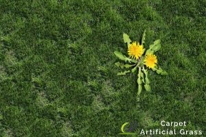 Importance of Proper Sub-Base Preparation for Synthetic Grass in Singapore 5 prevent-weed-growth-and-erosion-importance-of-sub-base-preparation-for-synthetic-grass-ga-carpet-and-artificial-grass-singapore
