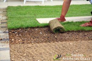 4 Ways Synthetic Grass in Singapore Helps Combat Urban Heat 5 reduced-soil-heat-transfer-4-ways-synthetic-grass-in-singapore-helps-combat-urban-heat-synthetic-grass-ga-carpet-artificial-grass-singapore