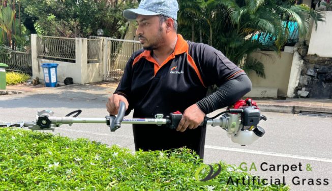 bushes-trimming-services-ga-carpet-and-artificial-grass-singapore-landed-braddell-1