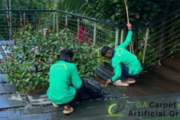 garden-maintenance-ga-carpet-and-artificial-grass-singapore-serangoon-1