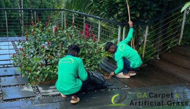 garden-maintenance-ga-carpet-and-artificial-grass-singapore-serangoon-1