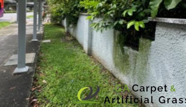 garden-maintenance-ga-carpet-artificial-grass-singapore-landed-newton-2