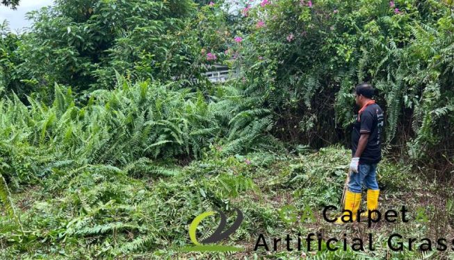 garden-maintenance-ga-carpet-artificial-grass-singapore-landed-newton-3