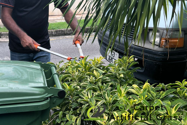 gardener-service-ga-carpet-and-artificial-grass-singapore-1