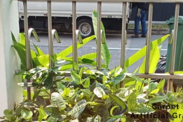 gardener-service-ga-carpet-and-artificial-grass-singapore-landed-ang-mo-kio-1