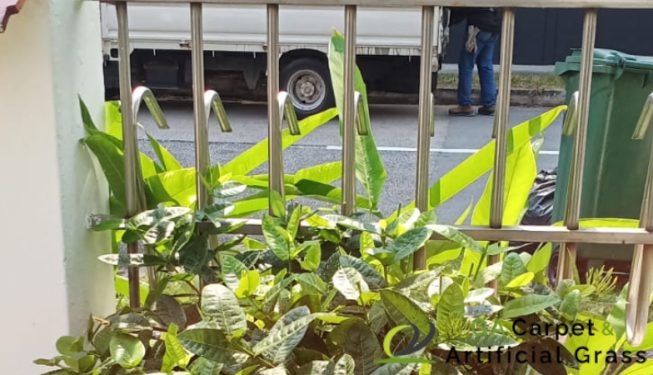 gardener-service-ga-carpet-and-artificial-grass-singapore-landed-ang-mo-kio-1
