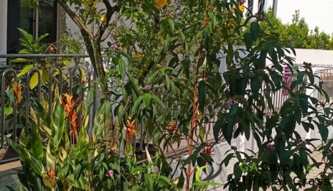 gardener-service-ga-carpet-and-artificial-grass-singapore-landed-ang-mo-kio-3