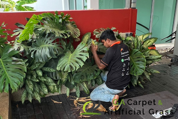 gardeners-ga-carpet-and-artificial-grass-singapore-2