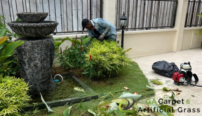 gardening-maintenance-ga-carpet-and-artificial-grass-singapore-landed-joo-chiat-terrace-1