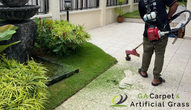 gardening-maintenance-ga-carpet-and-artificial-grass-singapore-landed-joo-chiat-terrace-2