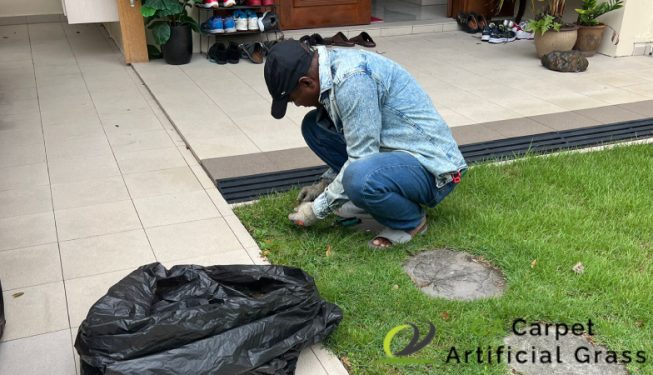 gardening-maintenance-ga-carpet-and-artificial-grass-singapore-landed-joo-chiat-terrace-3