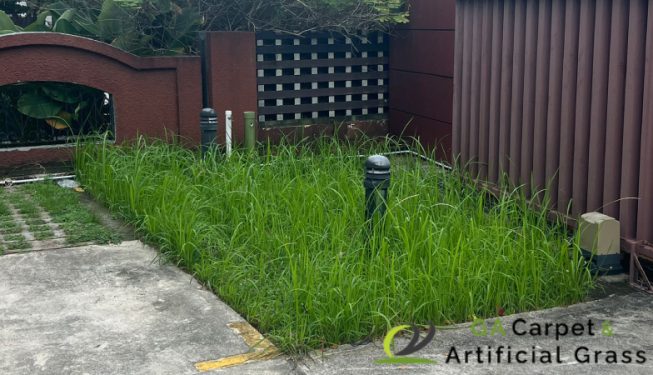 grass-cutting-ga-carpet-and-artificial-grass-services-singapore-landed-east-coast-1