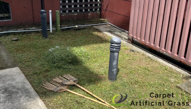 grass-cutting-ga-carpet-and-artificial-grass-services-singapore-landed-east-coast-2