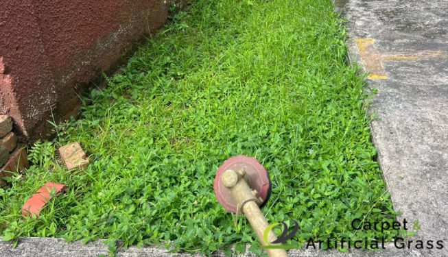 grass-cutting-ga-carpet-and-artificial-grass-services-singapore-landed-east-coast-3