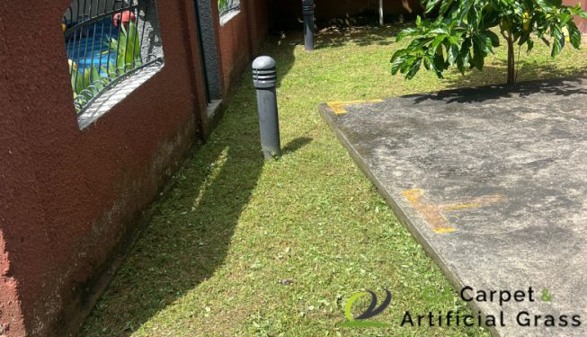 grass-cutting-ga-carpet-and-artificial-grass-services-singapore-landed-east-coast-4