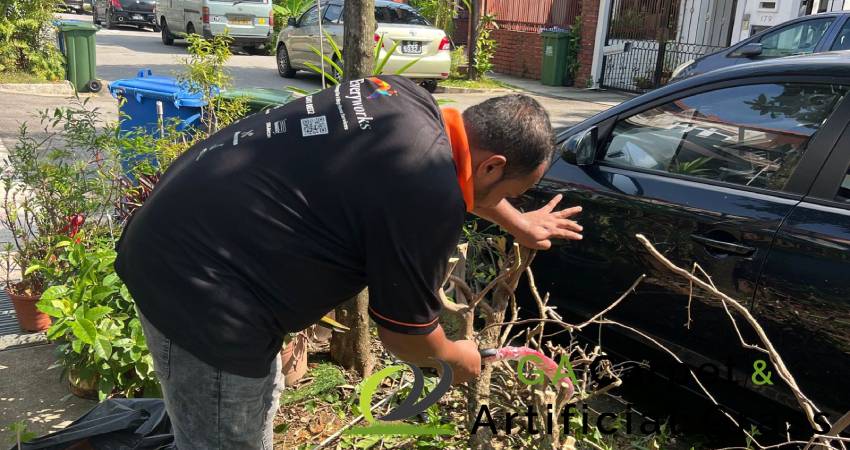 Residential Landscape Maintenance 1 residential-landscape-maintenance-ga-carpet-artificial-grass-singapore-1