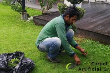 weed-removal-services-greenage-lanscape-singapore-landed-bukit-timah-1