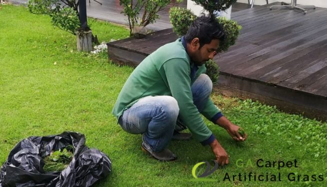 weed-removal-services-greenage-lanscape-singapore-landed-bukit-timah-1