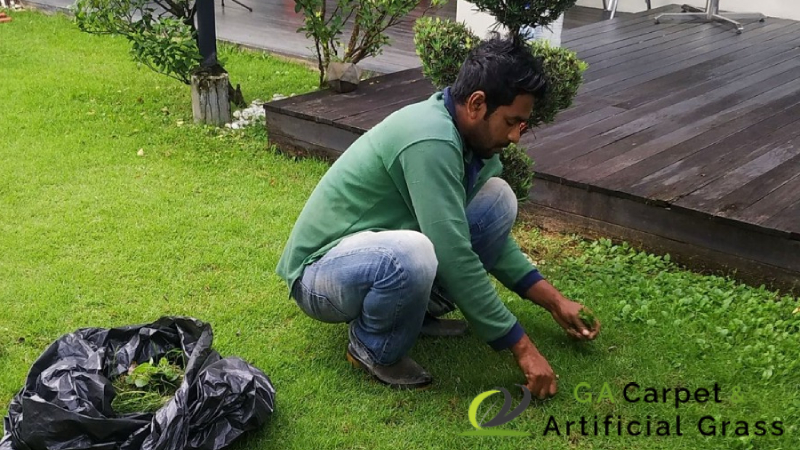 weed-removal-services-greenage-lanscape-singapore-landed-bukit-timah-1
