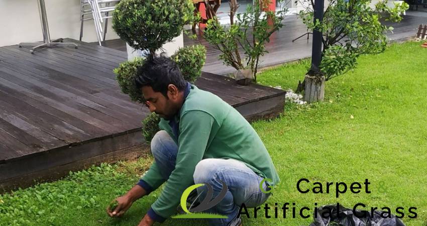 Landscape Contractor 1 landscape-contractor-ga-carpet-artificial-grass-singapore-2